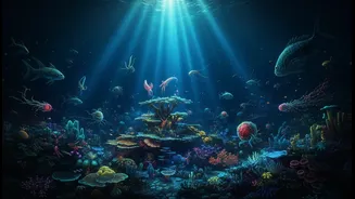 Deep-Sea Life Makes Biodiversity Feel Fresh
