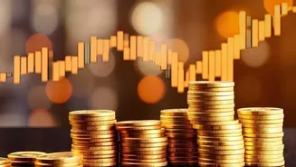How Price Trends In Essential Commodities Affect Discretionary Allowances For Young Urban Readers