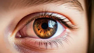 Safeguarding Young Eyes: Combating Digital Strain and Myopia in School Kids