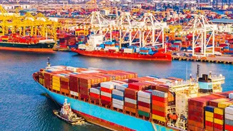 India Adds 11 Ports For E-Visa Holders: Key Details Explained