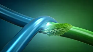 Related Stories banner