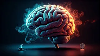 Zakir Khan's Health Hiatus: Experts Unpack Burnout, Sleep Deprivation, and Lifestyle Risks