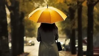 How IMD's Multi-Day Heavy-Rain Forecast Affects Last-Mile Checks During Multi-Day Rain Alerts