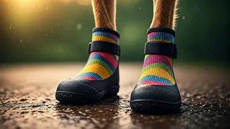 Keep Pet Paws Safe Using Breathable Rubber Monsoon Walking Boots