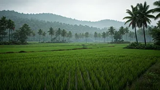 Rainy-Season Goa Is For Smarter Travellers