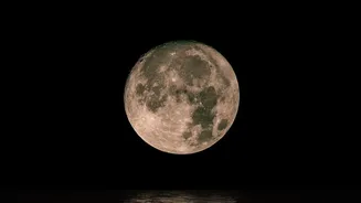 Harvest Moon In India: A Simple Guide To Date, Direction And Viewing
