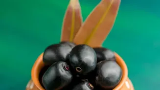 Cold steeped kokum and jamun fruit mocktails offer cooling low sugar drink choices