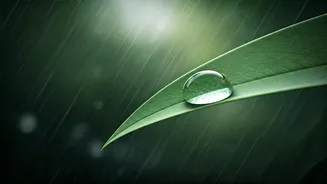 Rainy Weather Doesn't Mean UV Protection Stops