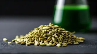 Gujarat Food Safety Crackdown: 3,500 Kg Saunf Adulterated with Harmful Green Dye Seized!