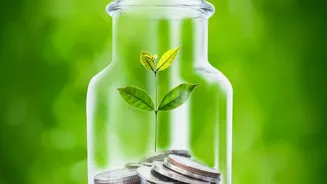 The Key Consumer Lesson From India's Latest Workplace-Finance Survey: Goals Before Product Chasing