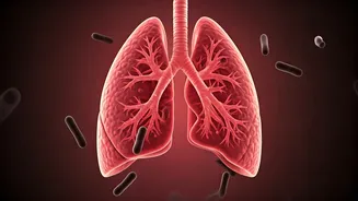 India's Enduring TB Battle: Unpacking the Silent Epidemic by 2026