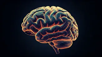 5 Habits for a Sharper Brain After 40