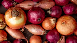 Roxa ou branca? Confira qual tipo de cebola usar para cada receita