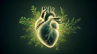 Navigating Your Health Journey: Expert Advice, Community Support, and Wellness Insights