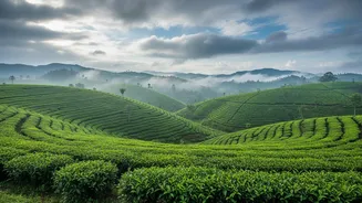 Where To Go In India For A True Monsoon Experience