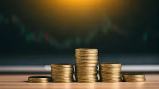 Smart Moves: Navigating Investment Ideas in India