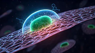 Related Stories banner