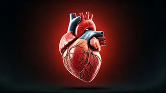 Malaria's Hidden Threat: How This Mosquito-Borne Illness Can Impact Your Heart