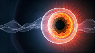 New Hope for Sight: Molecules Discovered to Halt Cone Cell Vision Loss