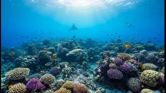 Nature Highlights The Growing Need For Better Marine Ecosystem Monitoring