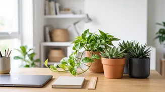 Green hacks for small WFH desks