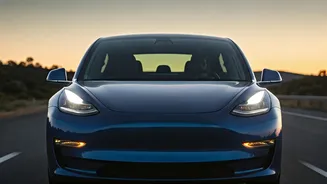 US ends Tesla phantom braking probe