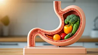 Unlocking Metabolism: A Guide to Boosting Your Body