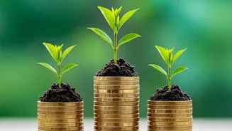Rs 10,000 A Month In PPF Can Build About Rs 32.5 Lakh In 15 Years Brings Attention To PPF Returns Are Government-Backed But The Interest Rate Is Re...