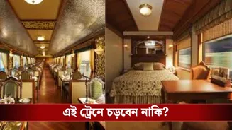 খেতে দেওয়া হয় ২৪ ক্যারেট সোনার প্লেটে! ভারতের এই ট্রেনের একটা টিকিটের দামে ফ্ল্যাট বুক করে ফেলতে পারবেন…