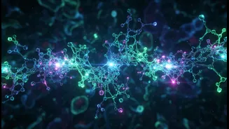 New Fat-Metabolism Research Needs A Clear Human-Study Reality Check