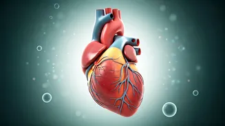 Unlock Your Health: Expert Cardiologist's Guide to Protein for Indian Women