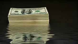 Rupee's Slide: RBI's Rescue Attempt Against the Dollar