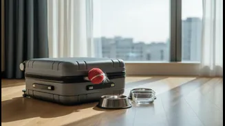 Pet-Friendly Stays Should Be Verified Before Families Pack Their Bags