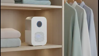How Urban Renters Eliminate Musty Wardrobe Blues Using Wireless Rechargeable Wardrobe Mini-Dehumidifiers