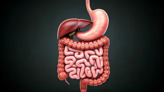 5 Health Hacks for a Happy Tummy