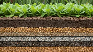 Drainage Is The Real Monsoon Garden Flex
