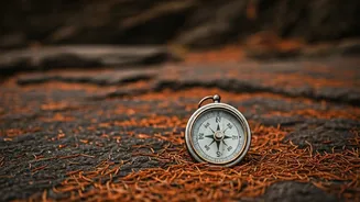 5 Survival Tips From Bear Grylls: Beyond the Wild!