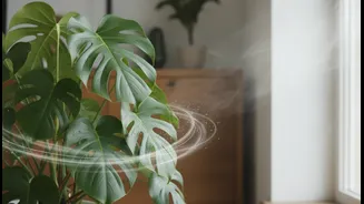 Airflow Is A Plant-Care Tool, Not Just A Comfort Feature