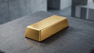 Gold ETF Portfolio Role: What Investors Should Understand Before Buying