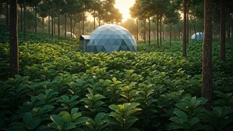 Munnar Cardamom Plantation Geodesic Domes Form Hottest Couple Escape