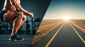 10 Squats vs. 30-Min Walk: Bryan Johnson's Bold Claim on Post-Meal Health