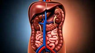 Water Fasting: What Happens After 3 Days?