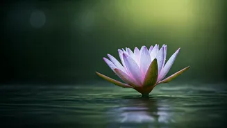 Buddha Purnima 2026: 5 Timeless Teachings for Inner Peace in Challenging Times