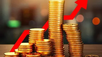 How To Allocate Monthly Income Into Liquid Funds For High Festive Season Returns