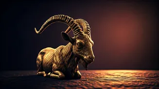 Capricorn's Day: Your Horoscope for November 13th