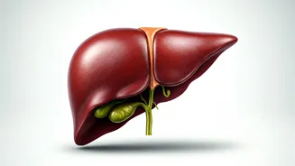 Protect Your Liver: Disease Prevention Tips