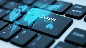 Domain Name Essentials: Quick Stats & Considerations