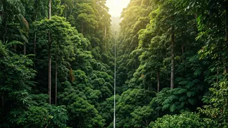 The Zipline Adventure Nature Lovers Need