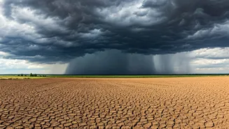 Delayed Monsoon Has Entered The Group Chat