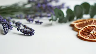 How To Make Your Home Smell Fresh Naturally During The Monsoon